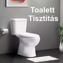 Toalett tisztítás